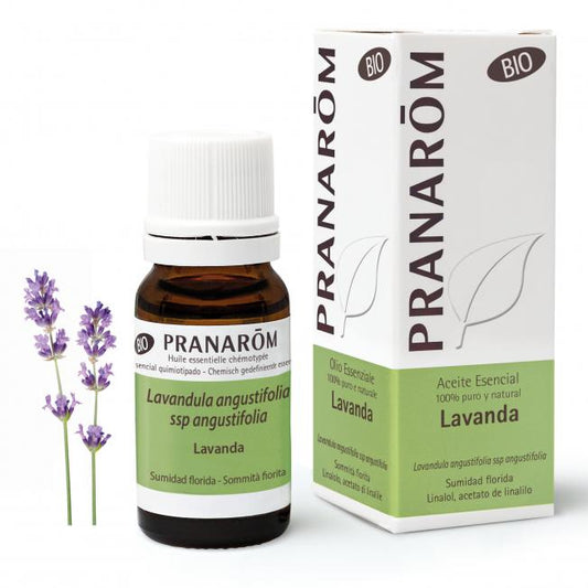 Eterisk olja Lavendel BIO Pranaróm 10 ml