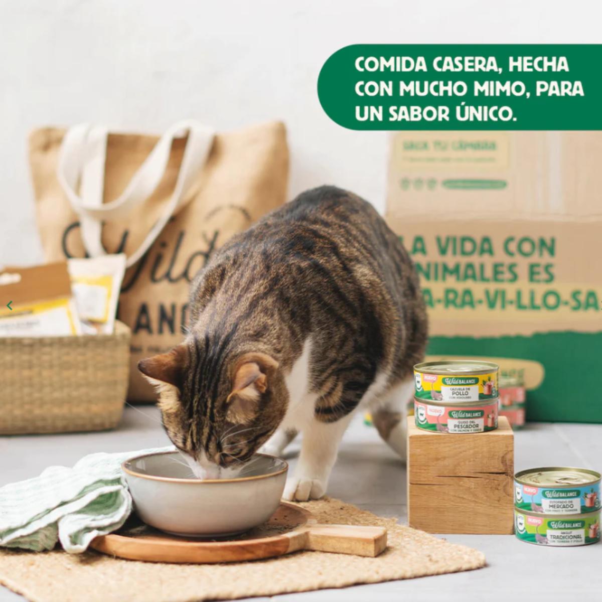 Dose Wild Balance Markt-Eintopf mit Truthahn und Rindfleisch für Katzen 80 g