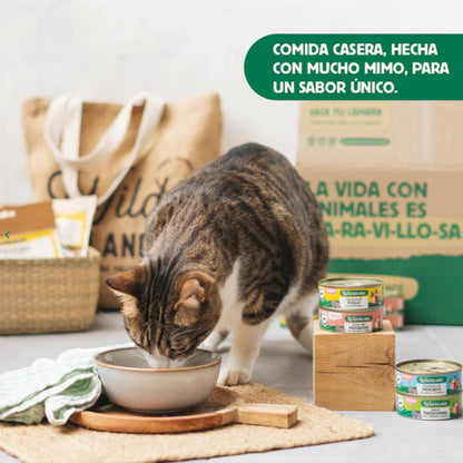 Dose Wild Balance Markt-Eintopf mit Truthahn und Rindfleisch für Katzen 80 g