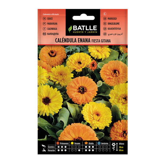 Zaden van dwergcalendula fiesta gitana Batlle