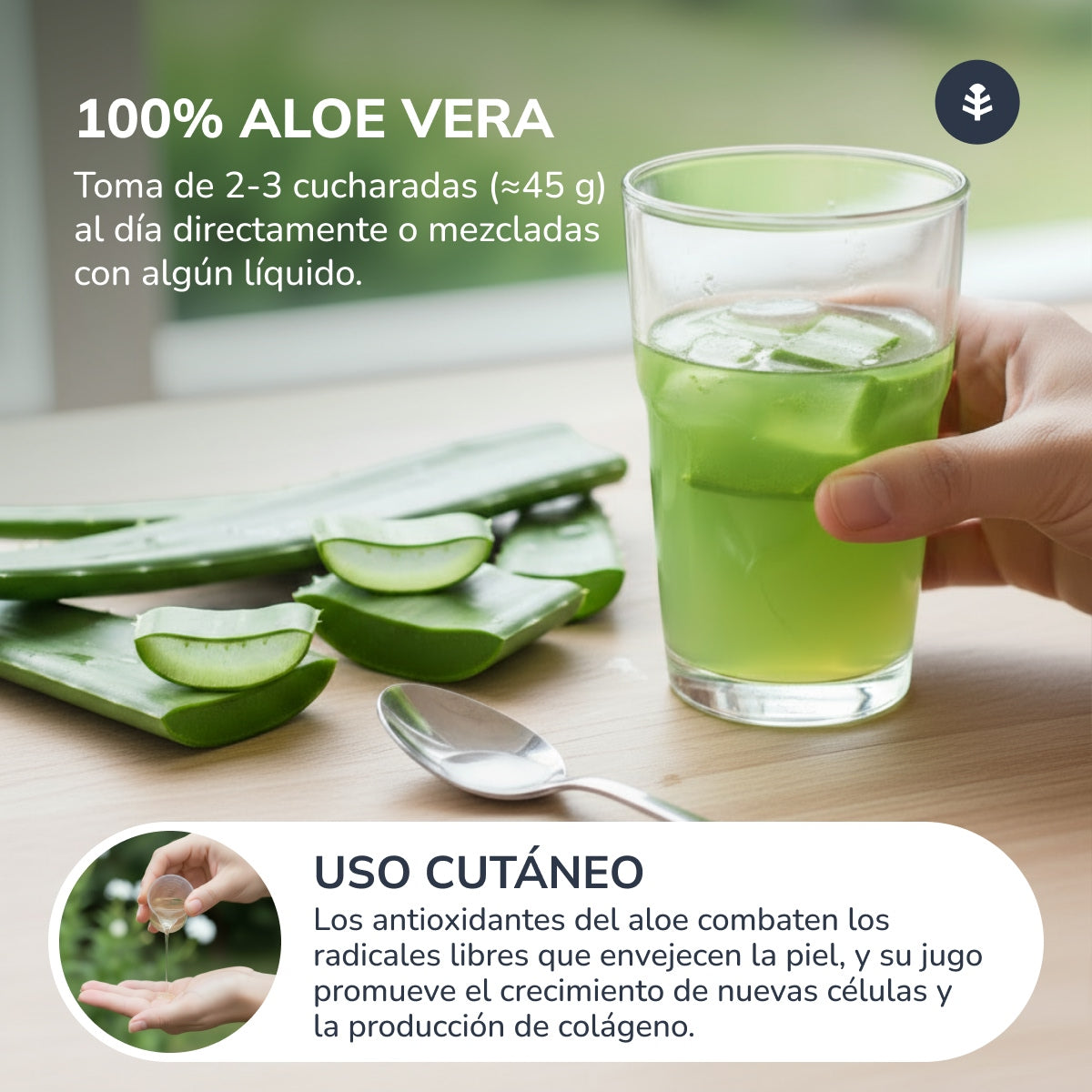 Succo di Aloe Vera Planeta Huerto 1 L.