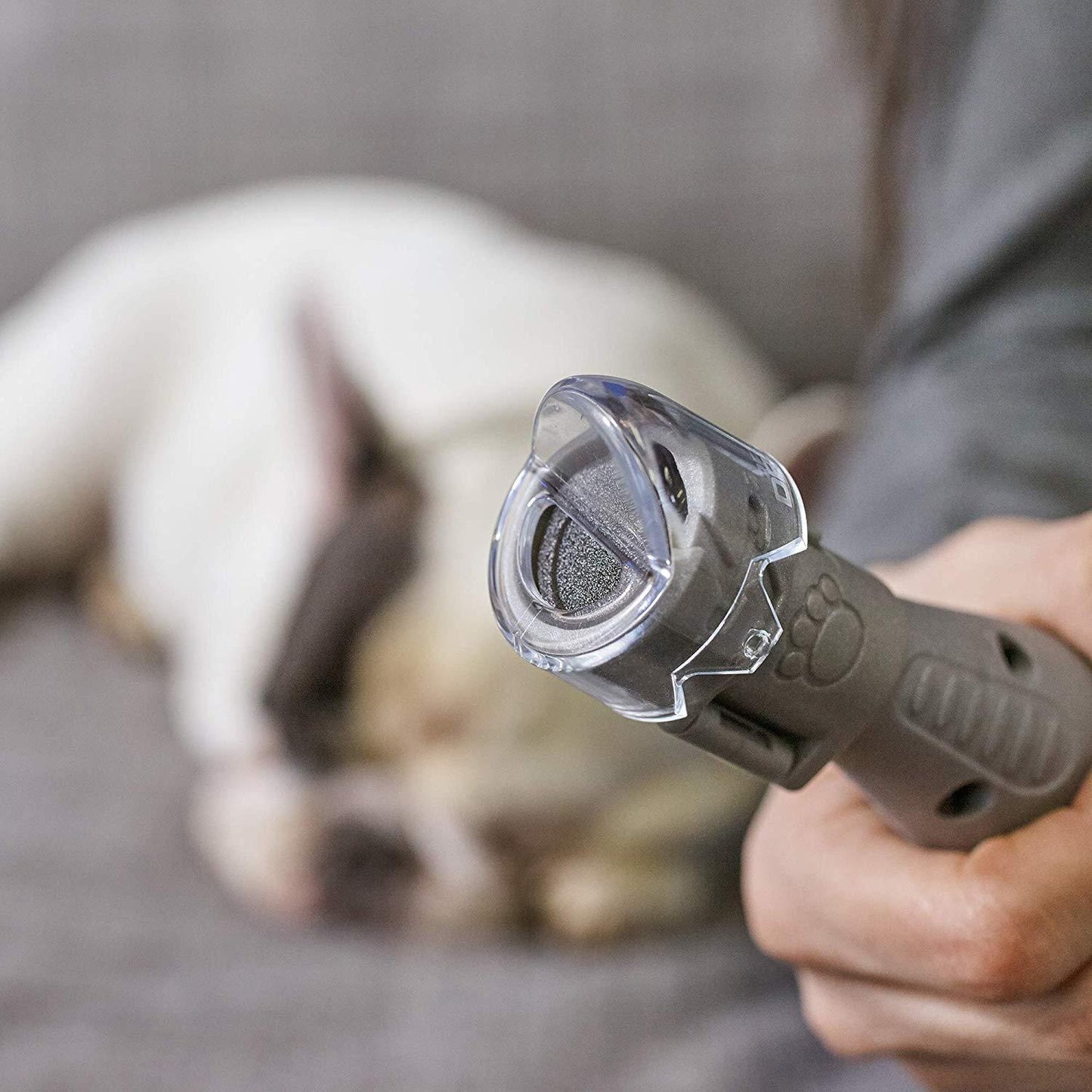 Kit för vård av husdjurs naglar Dremel 7020-PGK