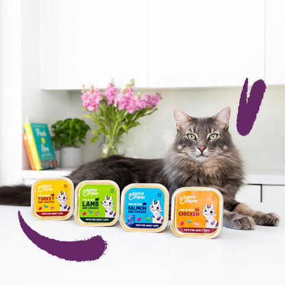 Natvoer voor katten paté Edgard & Cooper zalm en kip 85 g