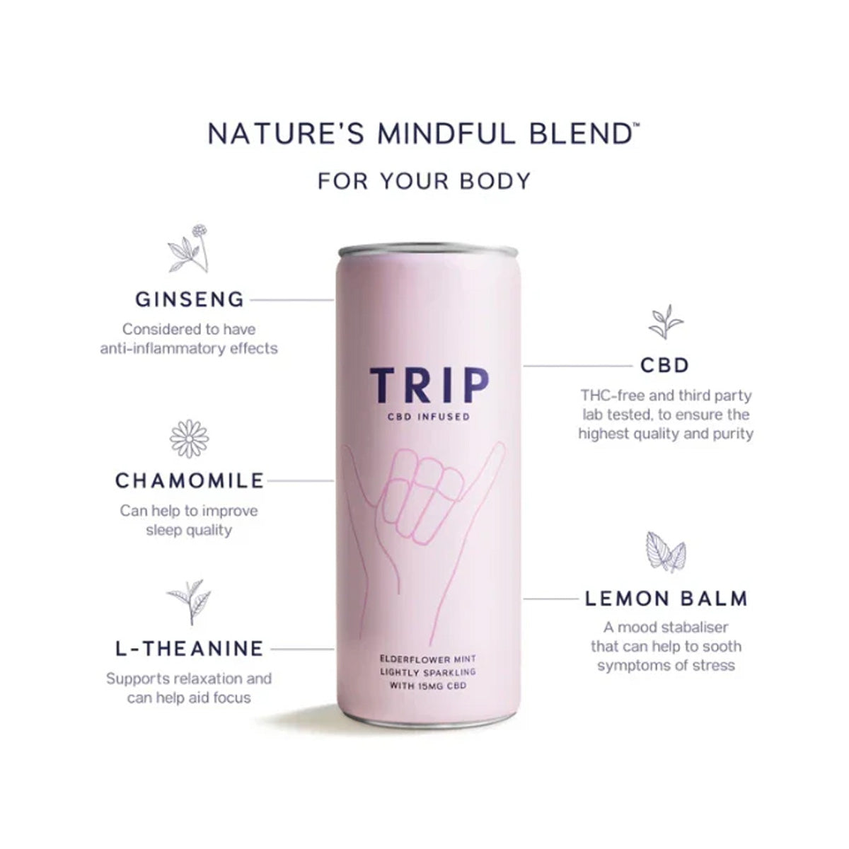 Holunderblüten- und Minz-TRIP 250 ml