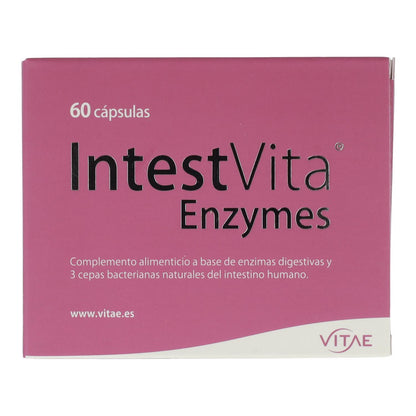 IntestVita Enzymes 60 capsule