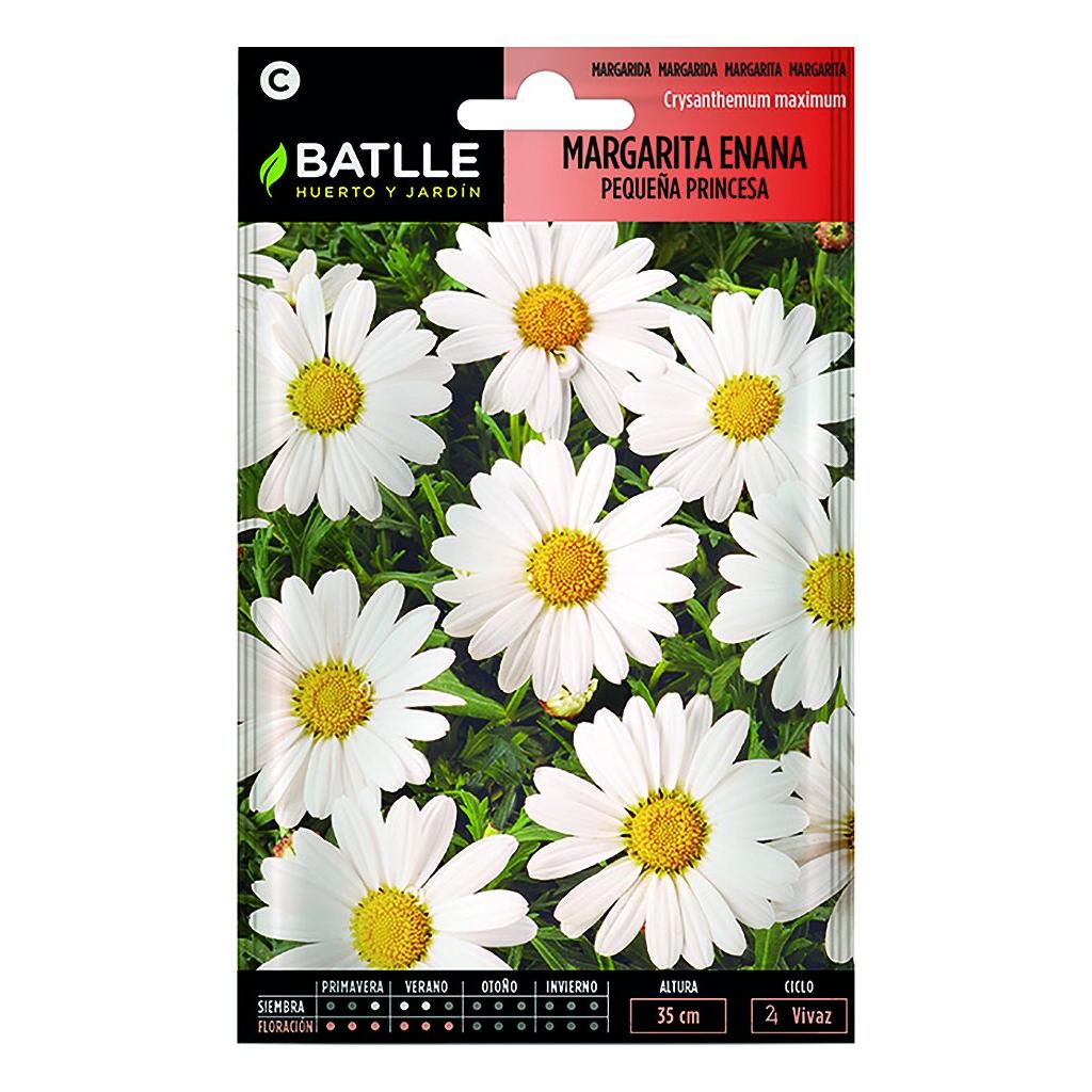 Zaden van kleine prinses-madeliefje Batlle