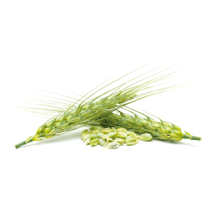 Bierhefe El Granero, 500 Tabletten à 400 mg