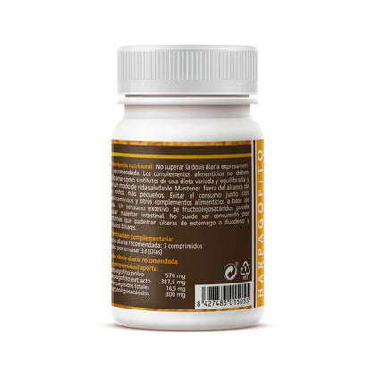 Harpagophytum Sotya 100 Tabletten