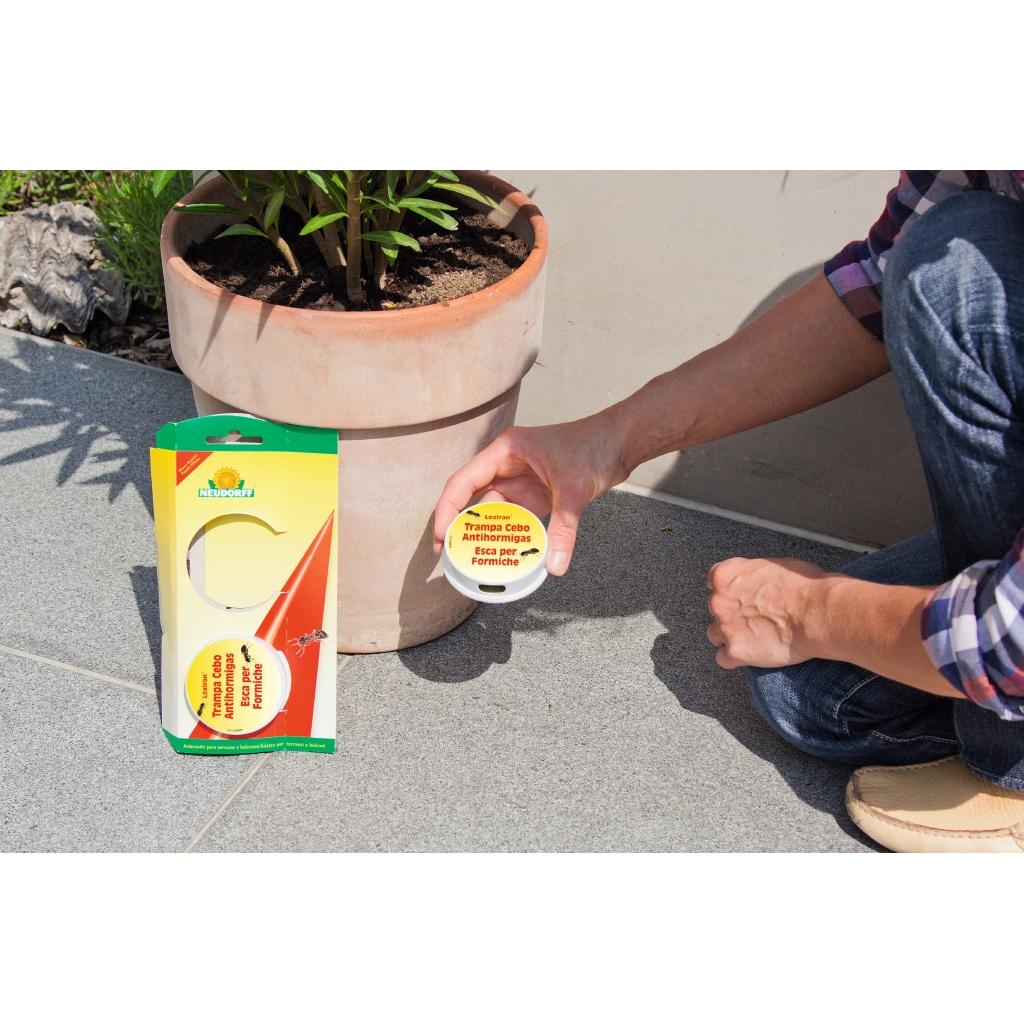 Ameisenfalle mit ökologischem Köder Loxiran 2 Stück Neudorff