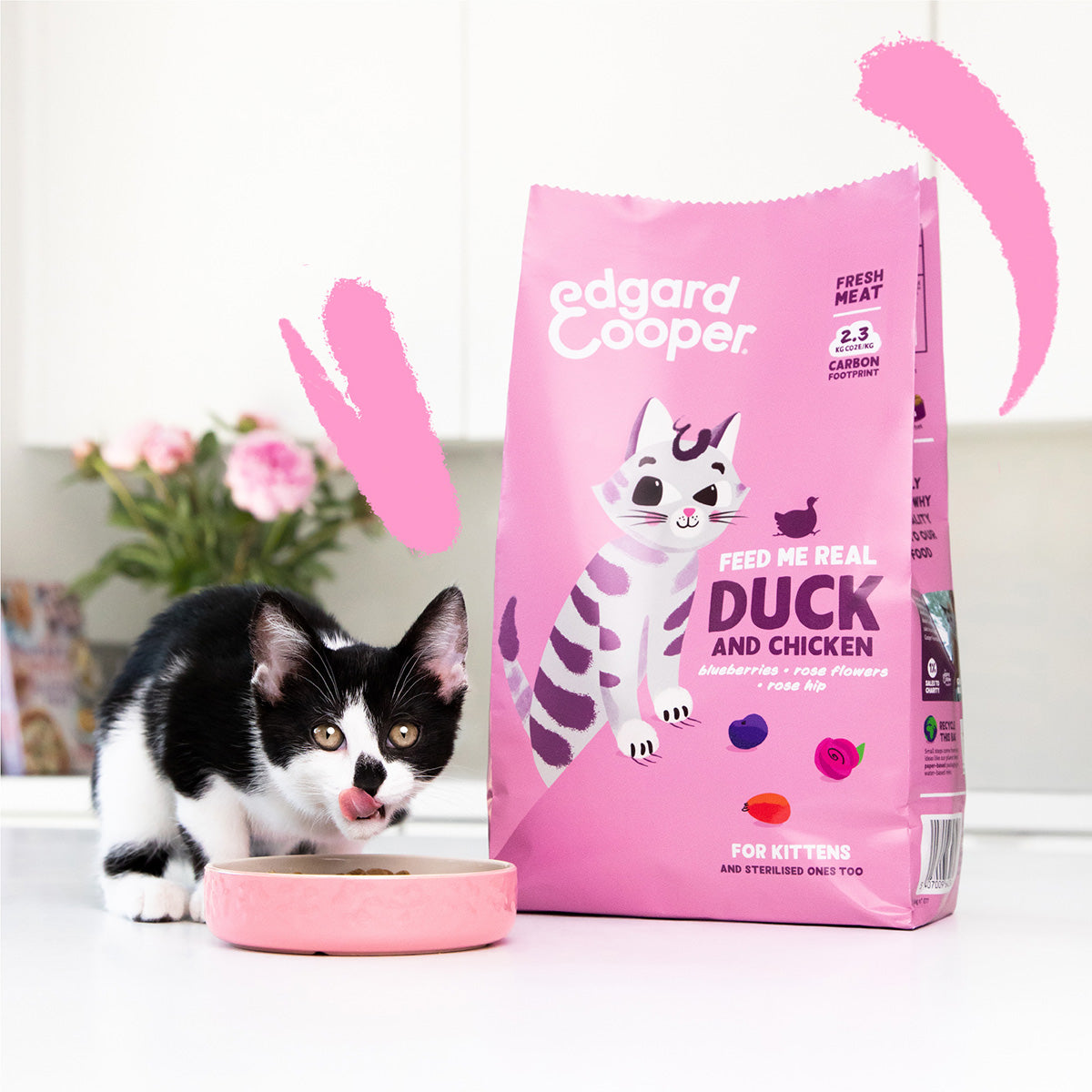 Katzenfutter Kitten Frische Ente und Huhn Edgard & Cooper 2 kg