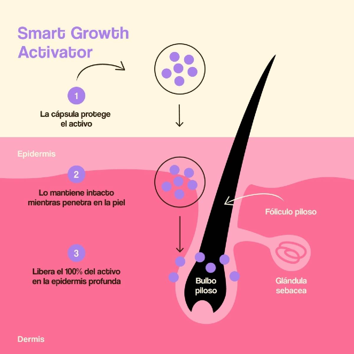 Pack of 2 Freshly Hair Growth and Density Treatment 50 ml