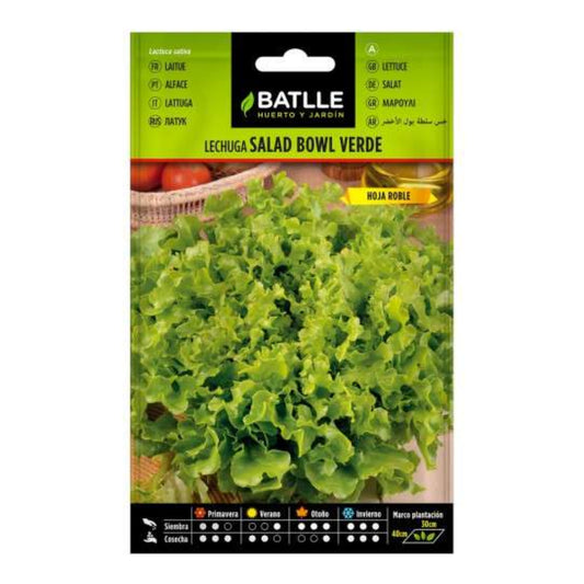 Graines de laitue Salad Bowl Verde Batlle