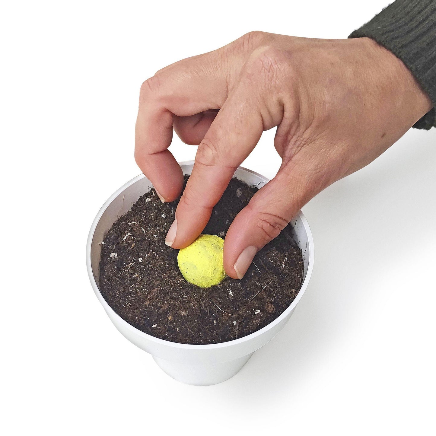 Samenbomben Huerta Mediterránea