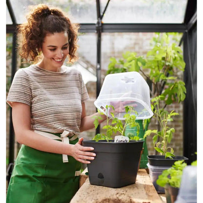 ALLIN1 Green Basics Elho Anthrazit 15 cm Pflanzkübel