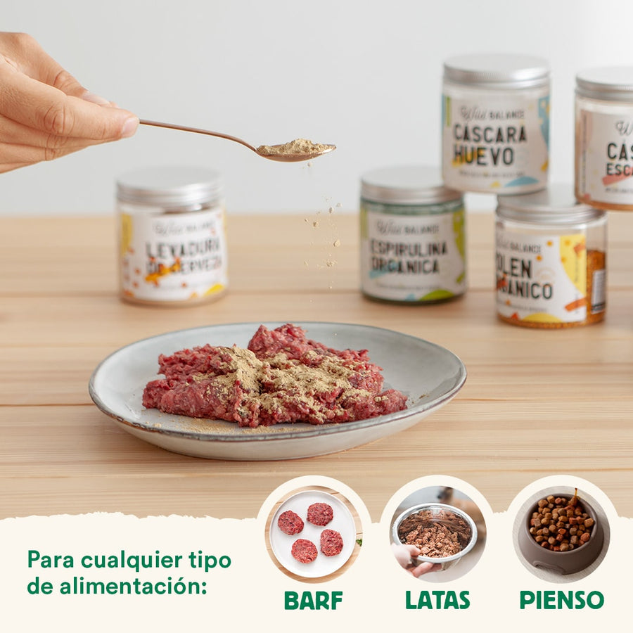 Curcuma pour Golden Paste Complément alimentaire pour animaux Wild Balance 100 g