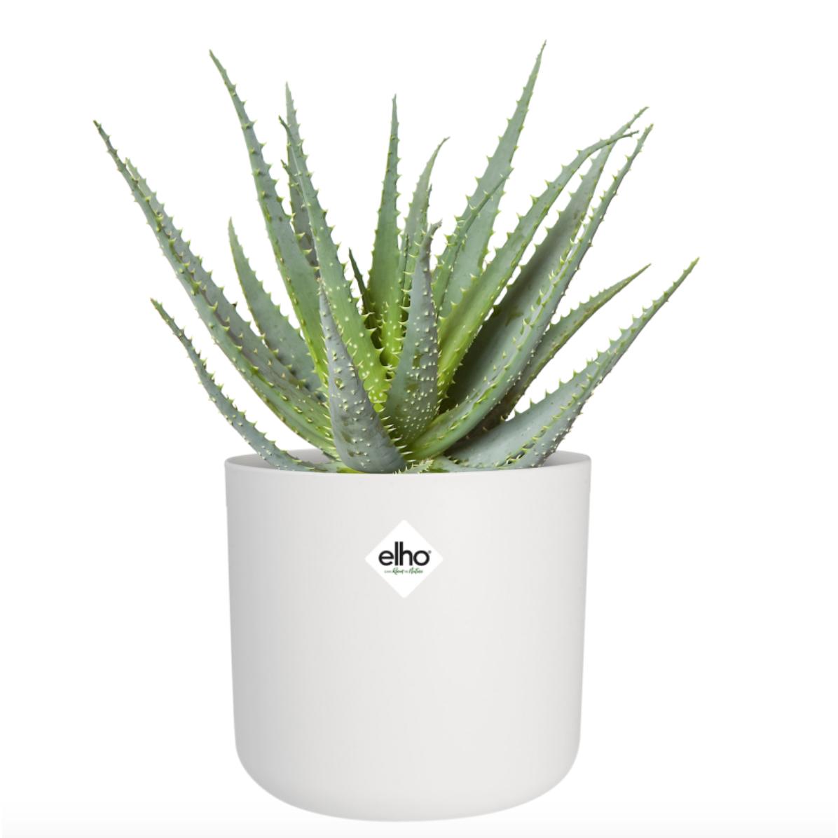 B.for Soft Round Elho White Plant Pot 22 cm