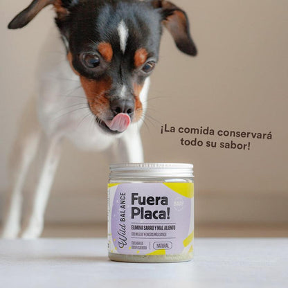 Supplément anti-plaque dentaire pour animaux Wild Balance 100 g