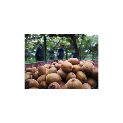 Hergestellt aus Bio-Äpfeln und -Kiwis, ohne Zuckerzusatz. Ékolo 700 g