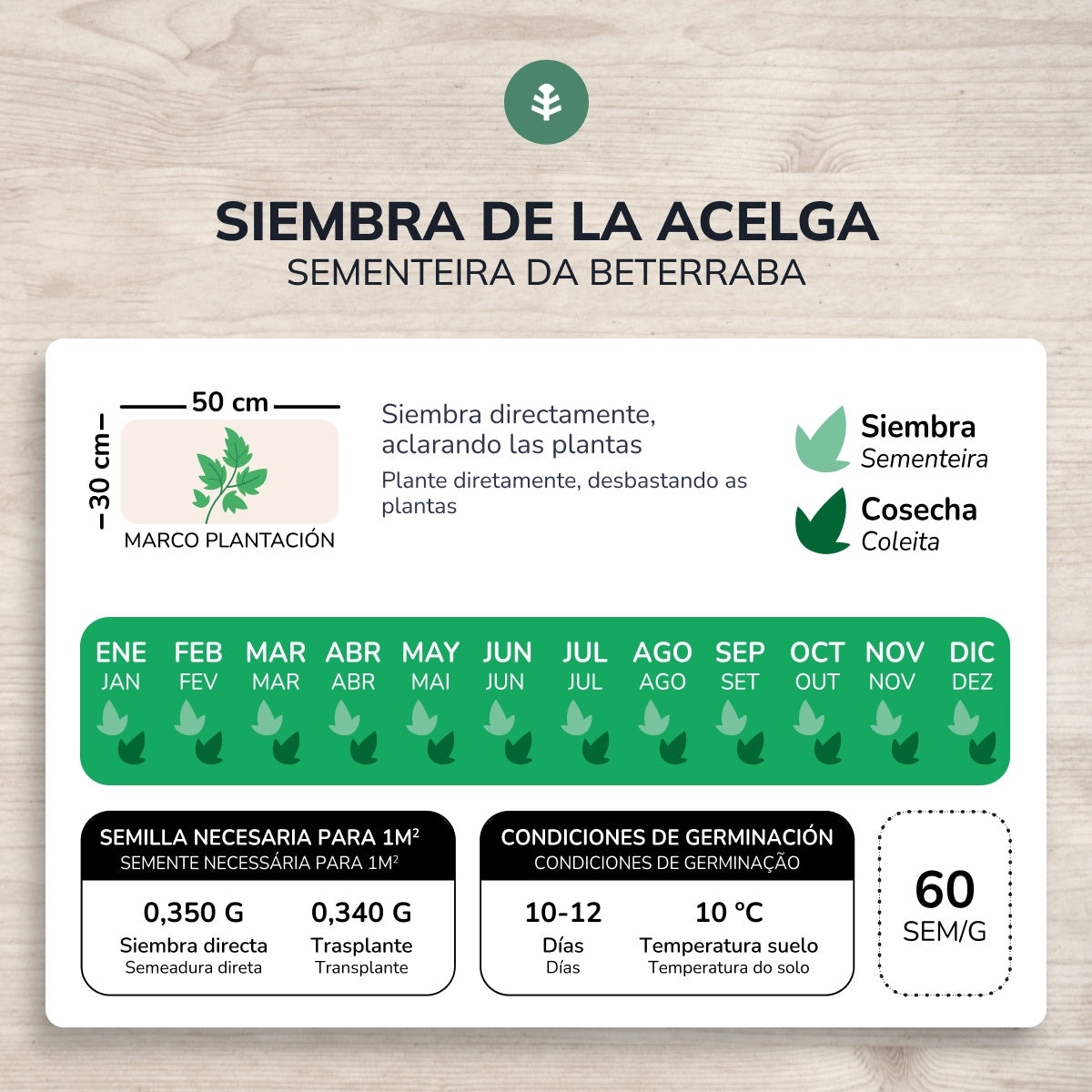 Ekologiska frön av grönbeta Planeta Huerto