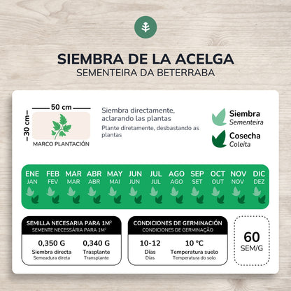 Ekologiska frön av grönbeta Planeta Huerto