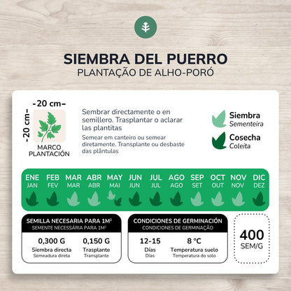 Biologische zaden van dikke Prei uit Carentan Planeta Huerto