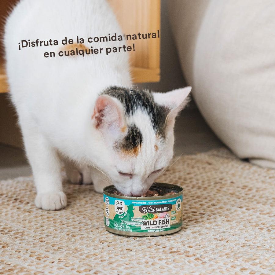 Dose Fisch und Truthahn BARF für Katzen Wild Balance 120 g