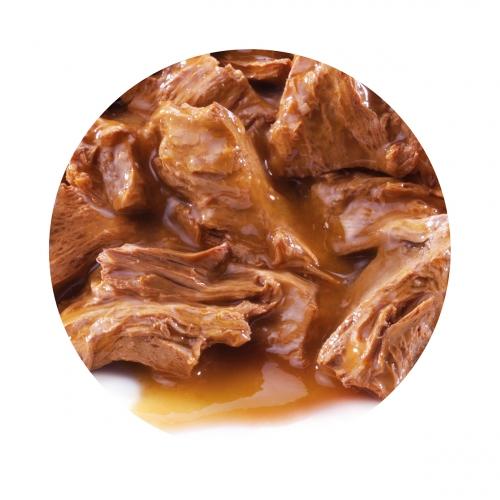 10er-Pack PRO PLAN Delicate Fisch aus dem Ozean für Katzen 85 g