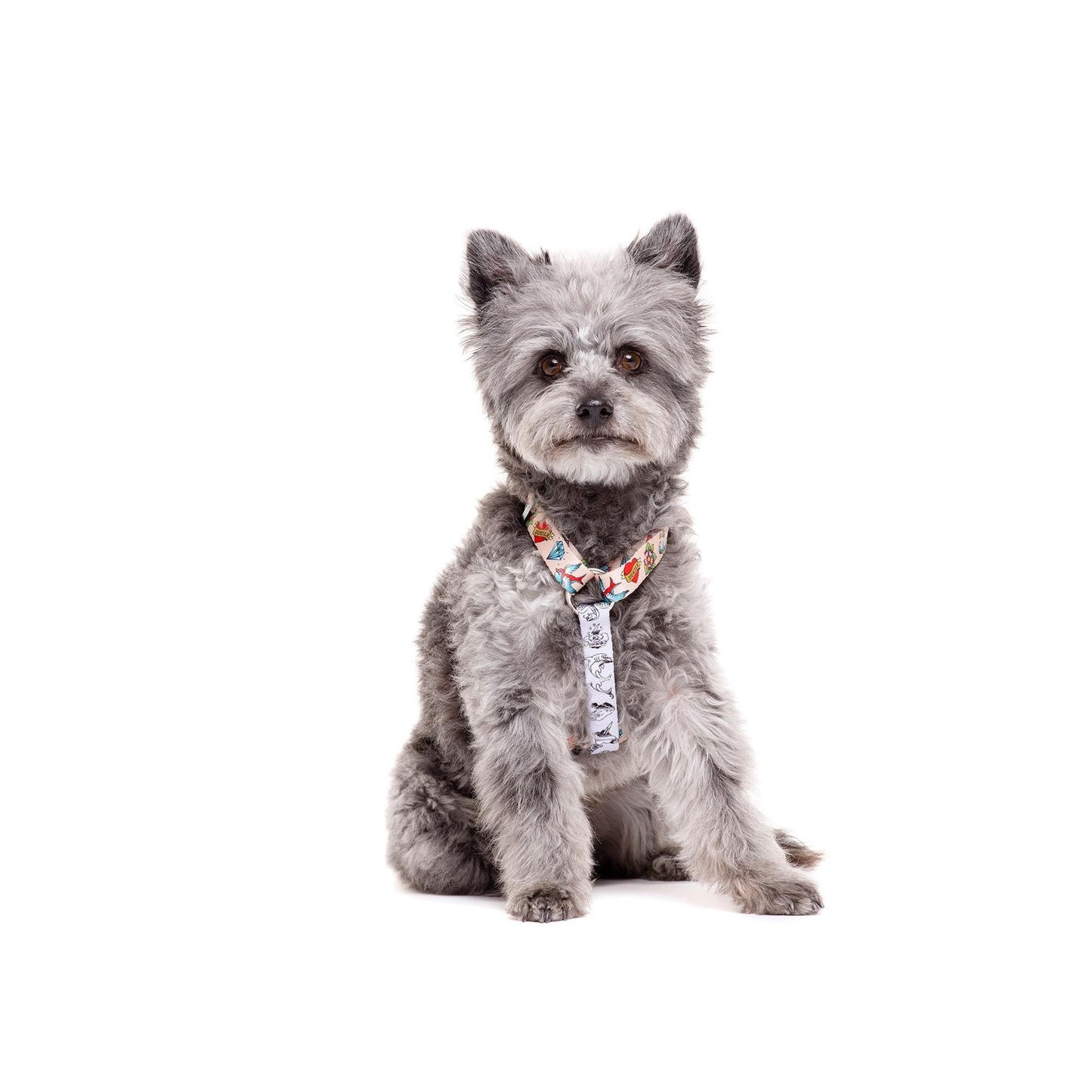 Klassisches Hundegeschirr TATTOO Dukier L