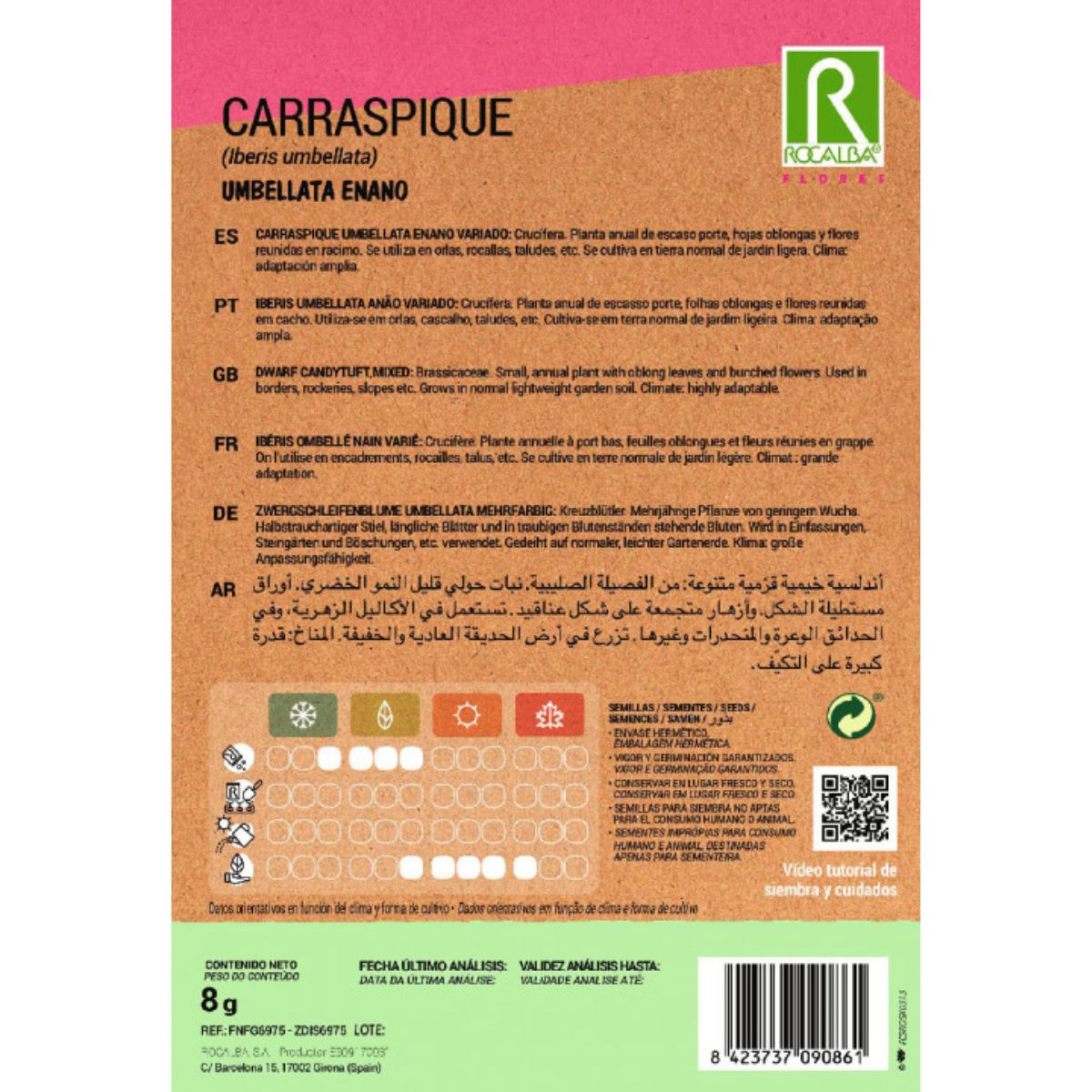 Frön av Carraspique umbellata dvärg, blandade