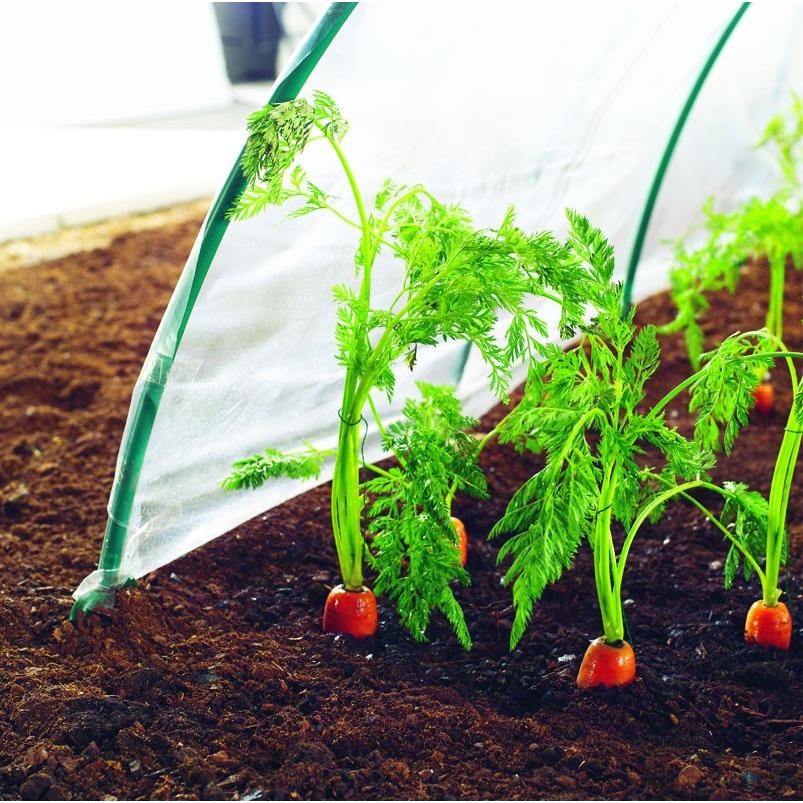 Film de culture pour légumes précoces Climafilm Nortene 2 x 10 m