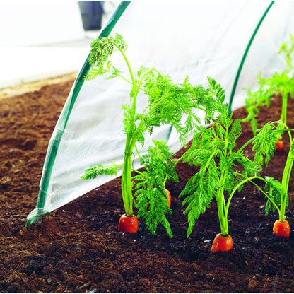 Film de culture pour légumes précoces Climafilm Nortene 2 x 10 m