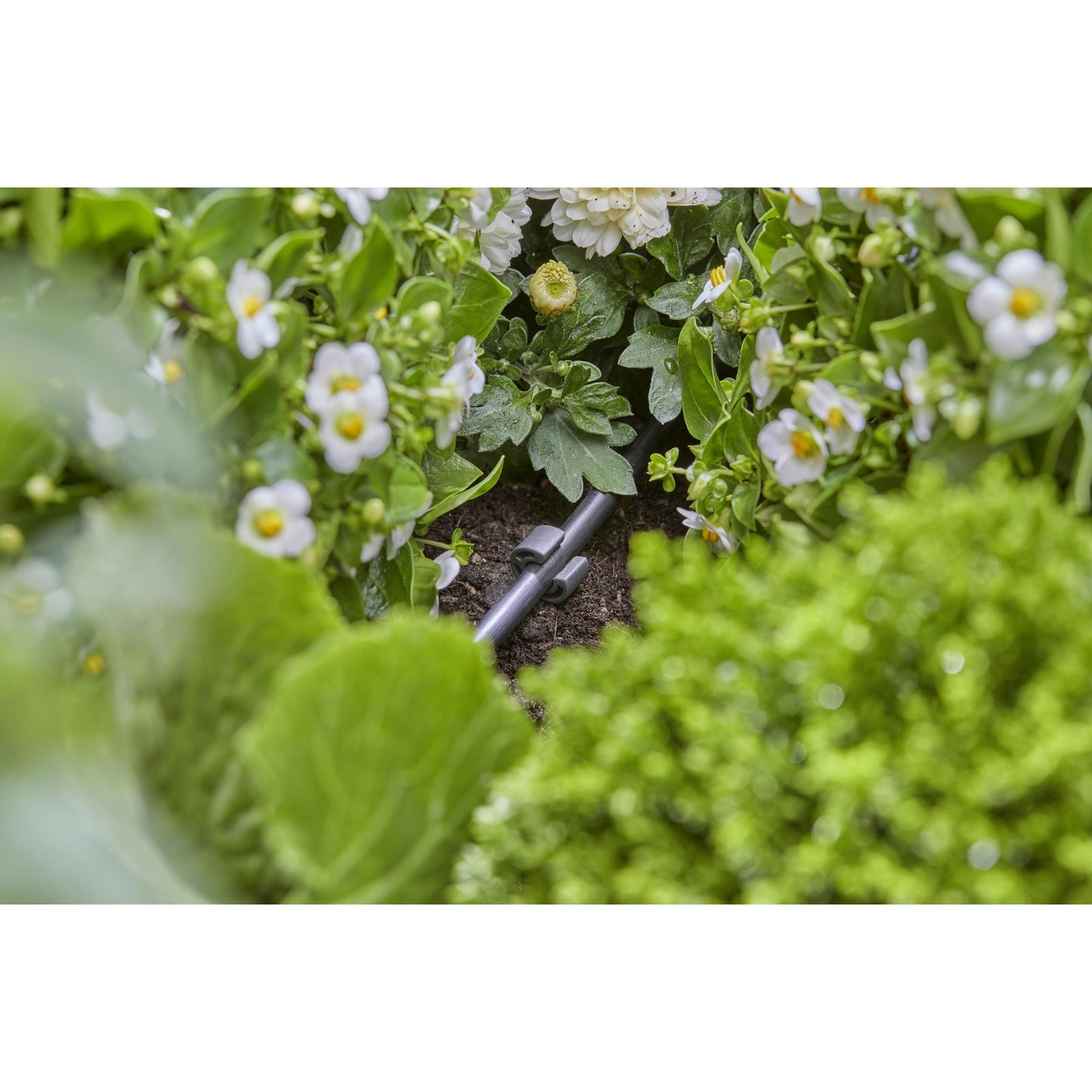 Kołek 4,6 mm (3/16") x25 Microdripsystem Gardena