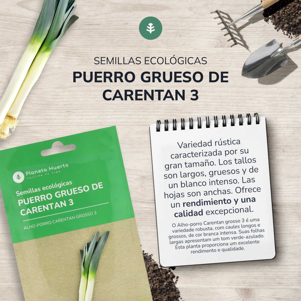 Biologische zaden van dikke Prei uit Carentan Planeta Huerto