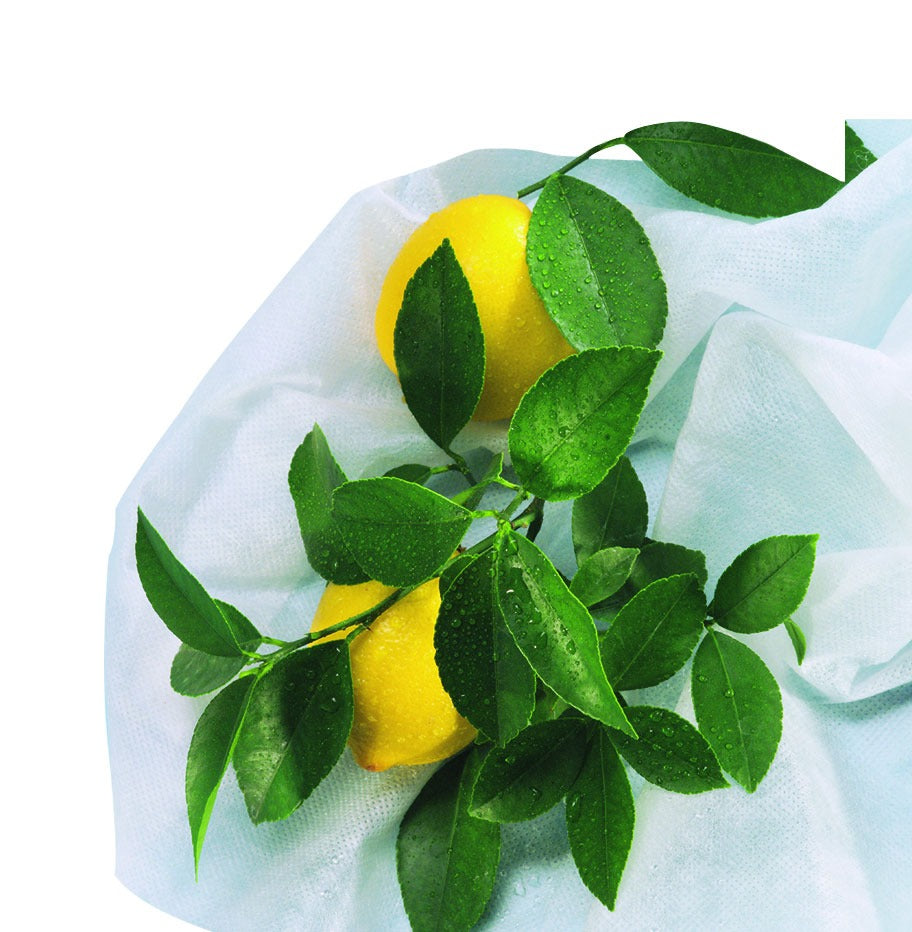 Copertura antigelo Hiversac Deco Nortene 3 pz