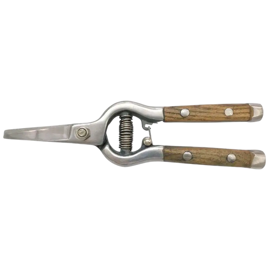 Professionelle Blumenschere Verdemax