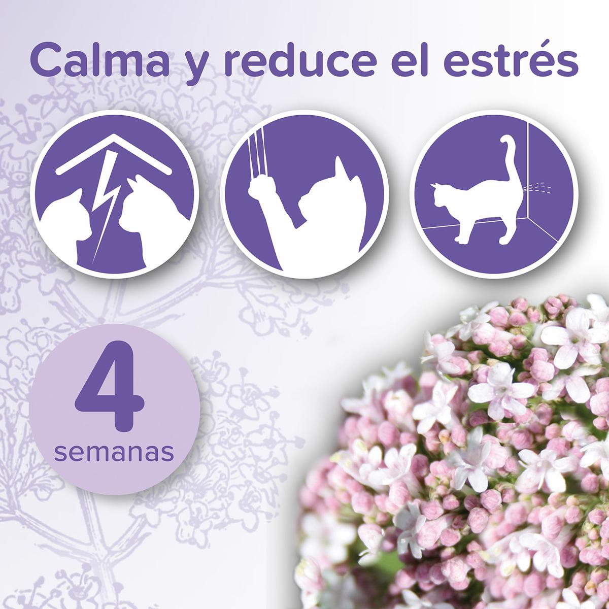 No Stress Chat Recharge pour diffuseur Beaphar 30 ml