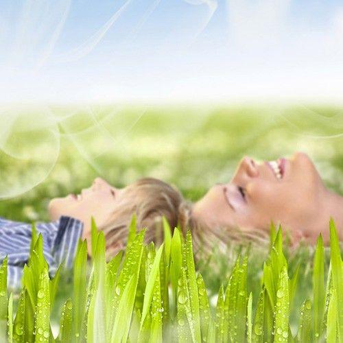 Nortene Artificial Grass Fragrance 750 ml