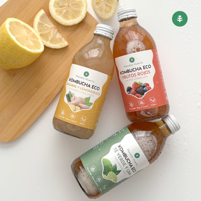 Kombucha ECO Gember en citroengras Planeta Huerto 330 ml
