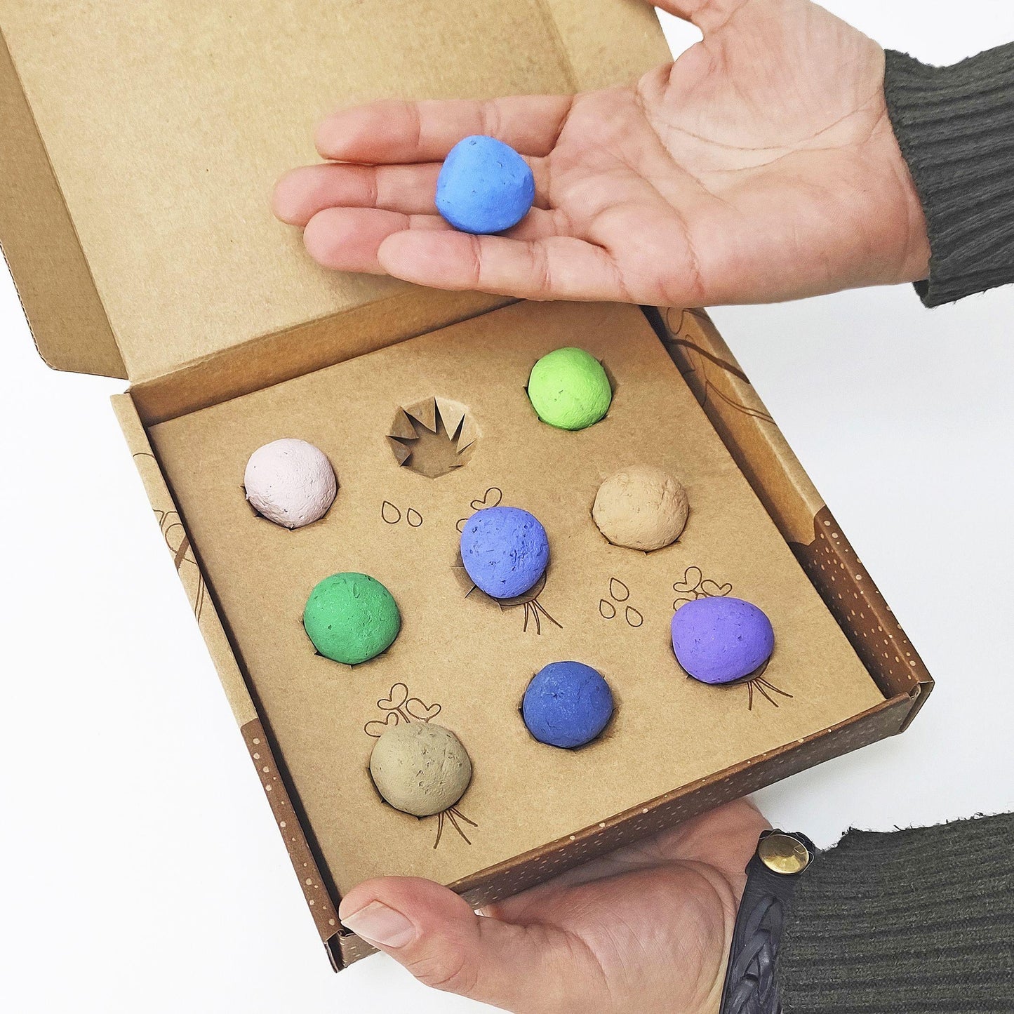 Samenbomben Huerta Mediterránea