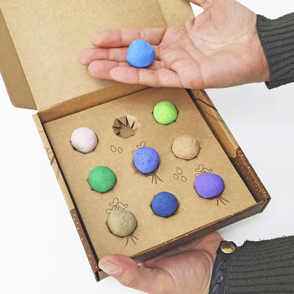 Samenbomben Huerta Mediterránea