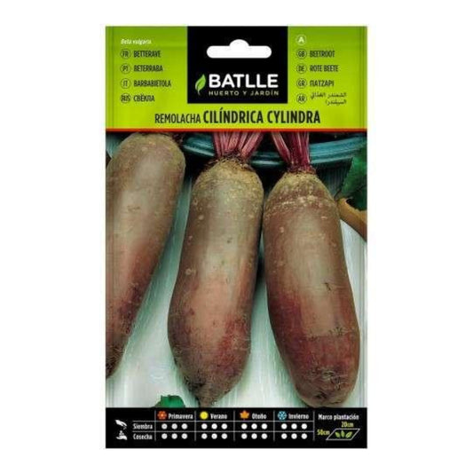 Cylindra Batlle beet seeds