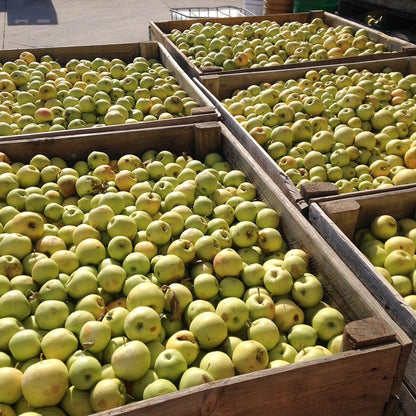 Hergestellt aus Bio-Birnen und -Äpfeln, ohne Zuckerzusatz. Ékolo 700 g
